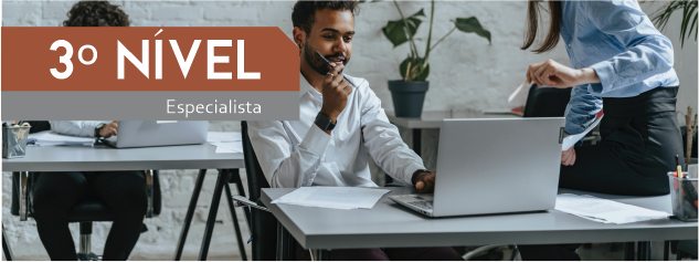 É um nível composto por especialistas,o Nível geralmente é acionado quando existe um problema de alta complexibilidade para ser solucionado.